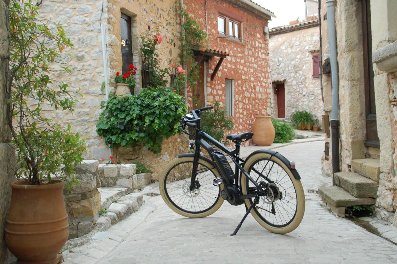 Le Mazet De Tourrettes Bed and Breakfast Εξωτερικό φωτογραφία